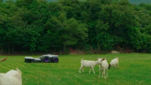 PANDAG G1 – The Ultimate Commercial Electric Lawn Mower